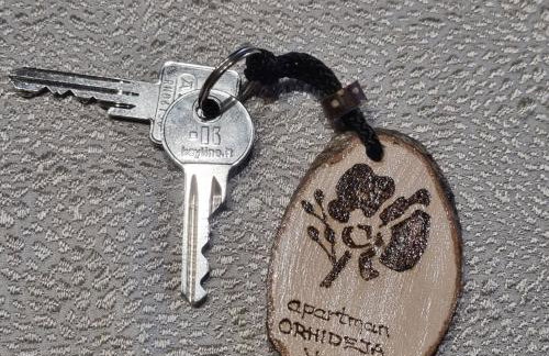 Apartman Orhideja - Foto 9