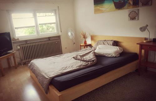 Casa Wilhelm - Foto 10