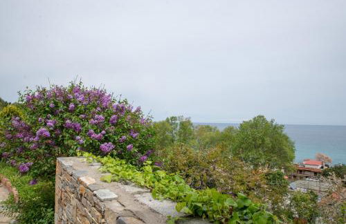 Eleni's House Chorefto - Foto 29