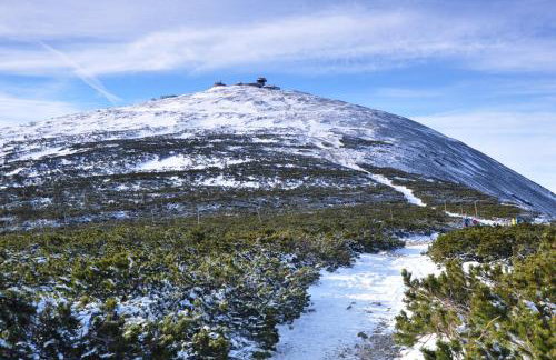 Apartament Salamandra - Foto 21