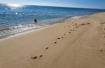 Rifugio al mare - Foto 36