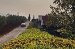 apartma Jelka - Foto 8