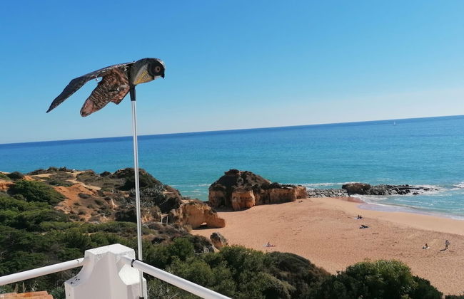 Beira Mar CIP - Photo 27