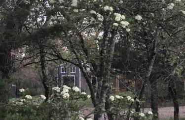 Hidden Treasure Harvest House Forest Getaway 30 Min. West of Fort Worth - Photo 3