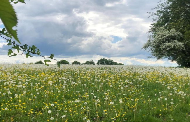 Family Escape With Pool - Foto 39