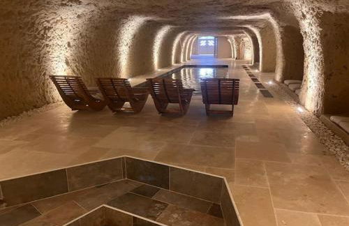 Le Petit Versailles Loire Tours - Photo 52