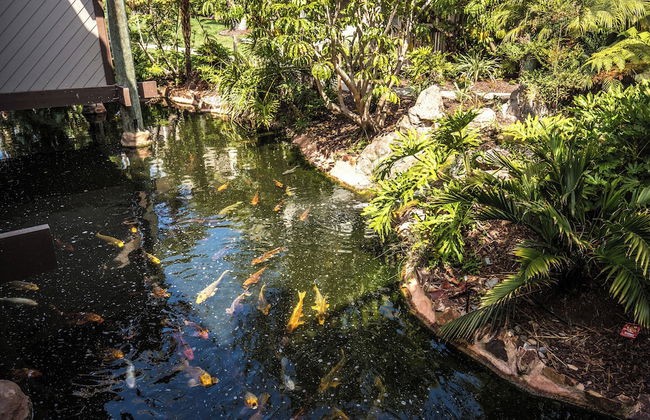 Oceanside Beach Condos - Foto 52