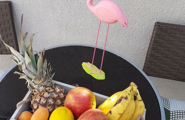 Apartment Mali Skoj - Foto 17