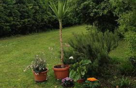 Villa i Cipressi Bed and Breakfast Casa vacanza - Photo 39