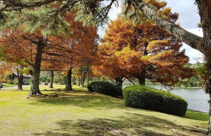 Luxuoso Flat no Laje de Pedra -Mountain Village - Foto 52