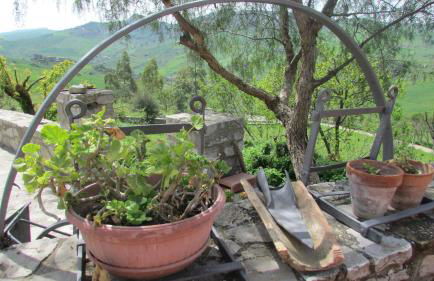 Agriturismo Capuano - Foto 41