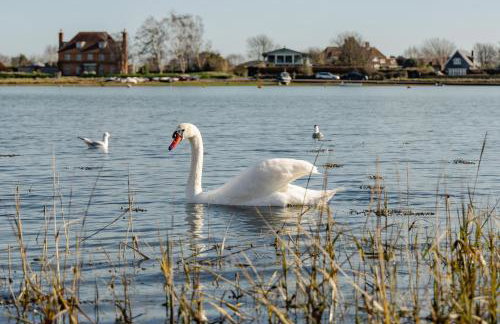 City Centre Entire Studio Apartment- Self check in - Foto 31