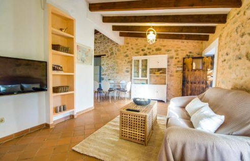 Higo Chumbo - Foto 27