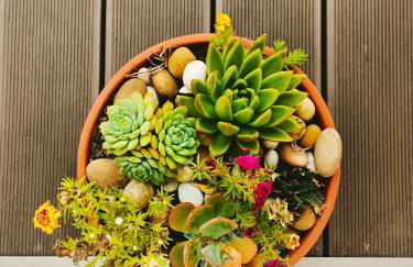 Quinta da Casa Matilde - NATURE HOUSE - Foto 61