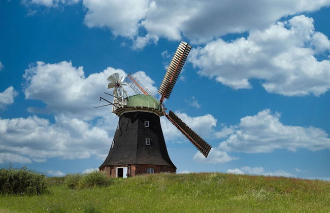 Wohnung in Tessmannsdorf mit Garten - Foto 38