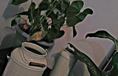 LOS ROSALES - Foto 18