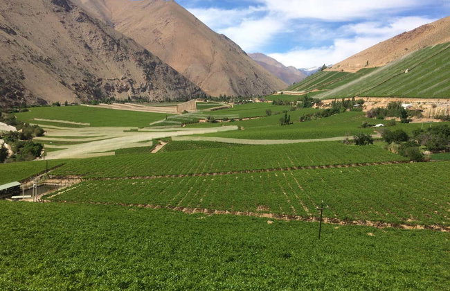 Elqui Valley Tour - Foto 7