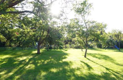 Haus-Falkenberg-1 - Photo 23