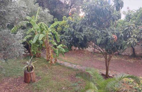 Vitamin sea Studio - Foto 12