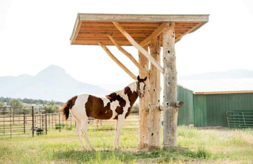 Luxury Safari Tents for Groups Only on Ranch near DeBeque, Colorado - Foto 15
