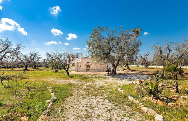 2769 Uliveto Valeria - Trullo Fico by Perle di Puglia - Foto 27