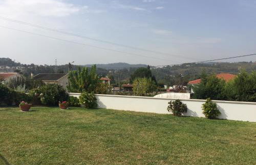 Manuel Tiago Pereira - Foto 24