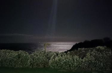 The cabin with the view - Photo 38