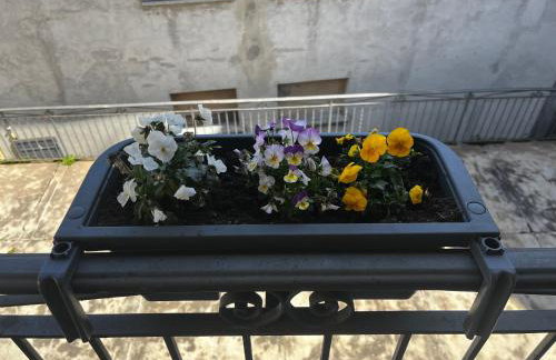 Casa vacanze Le Galline - Foto 21