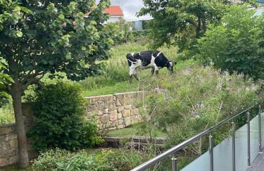 Villa Suances - Foto 48