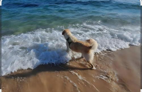 Playa Sol Vinaròs - Foto 17