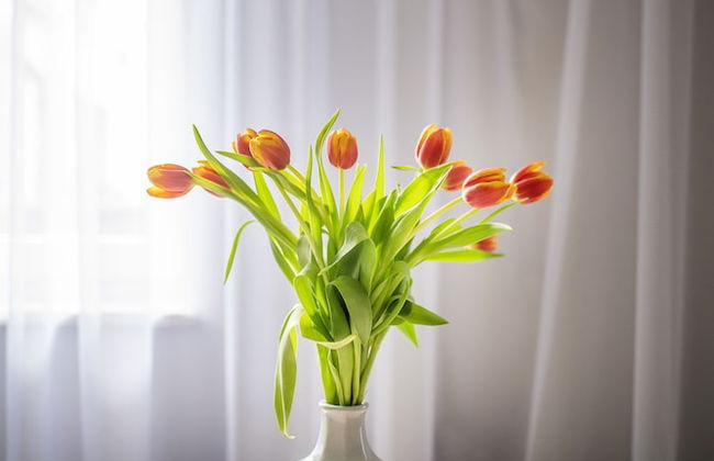 Easy Rent Apartments - GUSTO - Foto 2