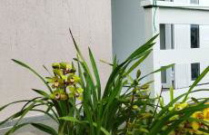 Apartamento cabernet 1 - Foto 49