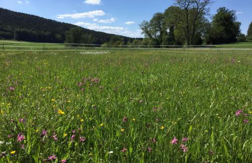 Haus am Treffenbach - Foto 18