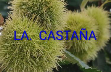 Casa Alpujarreña Fina Número 27 - Photo 11