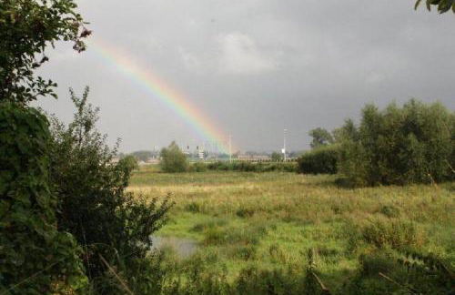 Ferienhaus am Kuhmoor - Foto 12