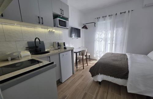 203 Studio with Kitchenette & Private Bath - Foto 3