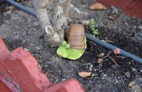 La Casa de los Duendes - Foto 41