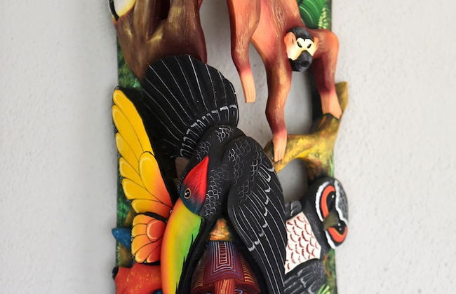 Papaya Dreams - Foto 22