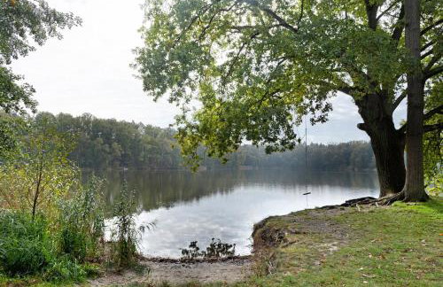 Ferienhäuser im Sternenpark am See - Photo 38