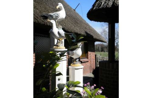 Strandnelke Modern retreat - Foto 14