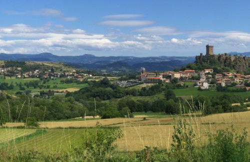 Évasion au cœur de Polignac : Charme et confort à deux pas du Puy-en-Velay - FR-1-582-382 - Foto 2