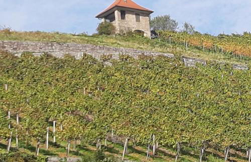 Ferienwohnung Zentrumsnah in Heppenheim - Foto 4