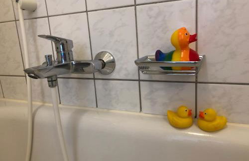 Studio Ochsenfurt mit sonnigem Balkon - Foto 17