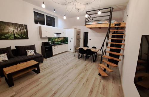 Apartament z antresolą - Foto 9