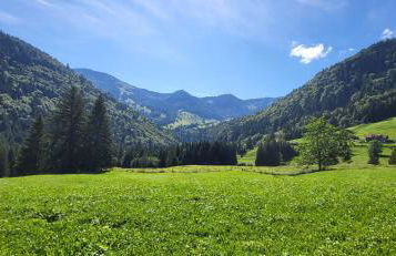 FeWo Allgäuzeit mit WLAN Oberstaufen Steibis - Foto 23