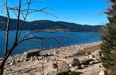 Ferienwohnung Lindenhof - Photo 21