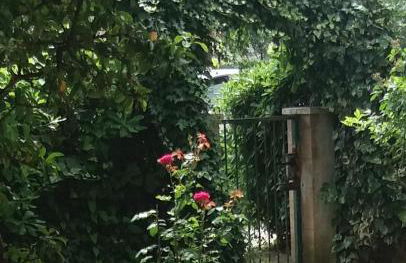 Giardino delle rose - Foto 34