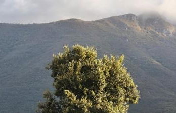 I Fiori di AminA - Foto 13