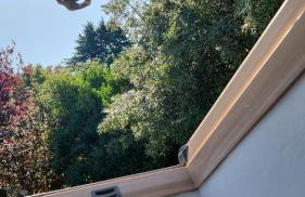 Cosy Suite with Private Access in London Putney - Foto 21