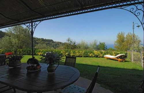 La Violetta - Photo 13